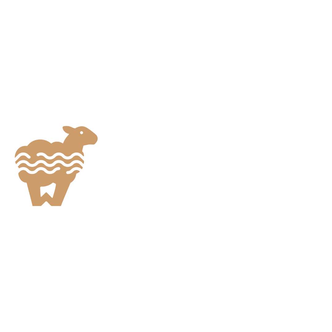 woolando-logo