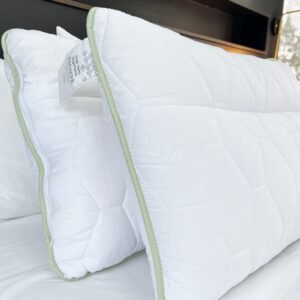 Antibakterinė raminanti pagalvė ALOE VERA