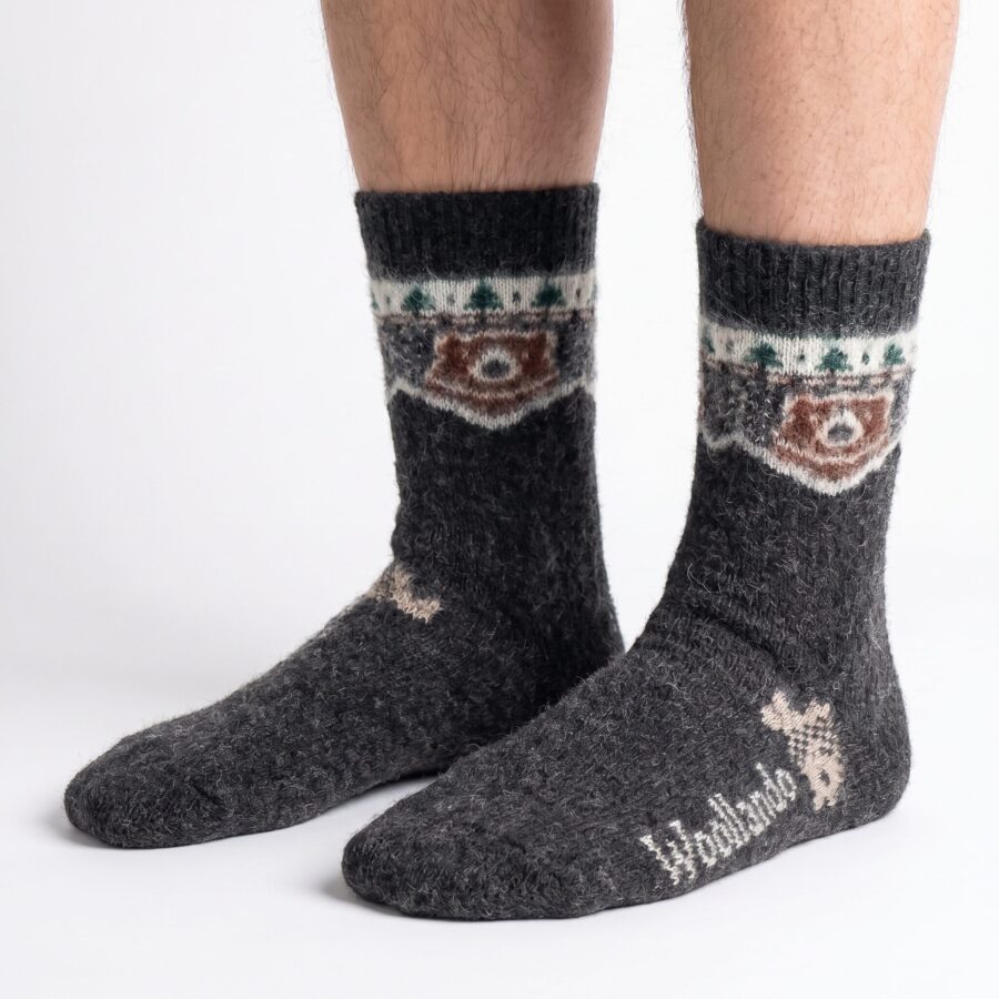 Merino vilnos kojinės BROWN BEAR, WoolLando